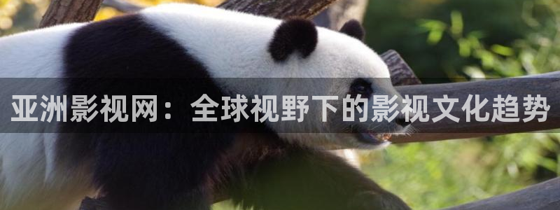 莒县保利万和影城：亚洲影视网：全球视野下的影视文化趋势