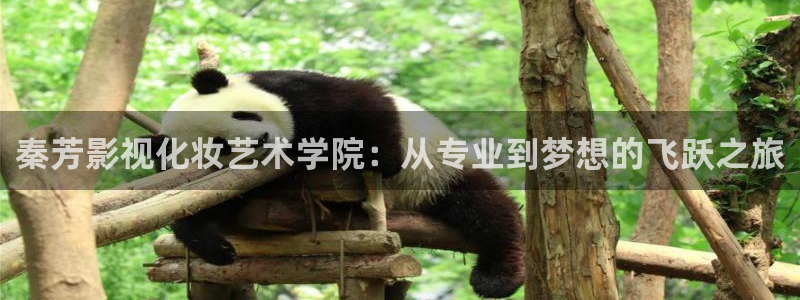 乐清市保利影院今日影讯：秦芳影视化妆艺术学院：从专业到梦想的飞跃之旅