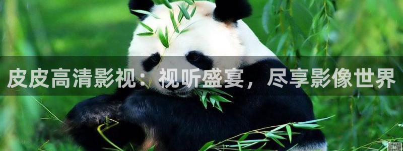 保利国际影城电影：皮皮高清影视：视听盛宴，尽享影像世界