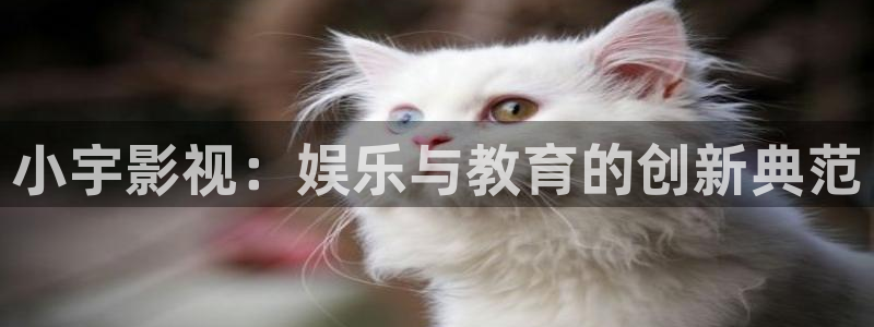 衡水保利影城：小宇影视：娱乐与教育的创新典范