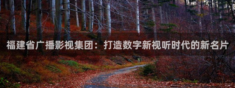 上海保利国际影城：福建省广播影视集团：打造数字新视听时代的新名片